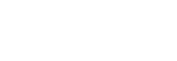 Ecovix